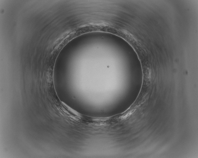 X0000073451110200608041020