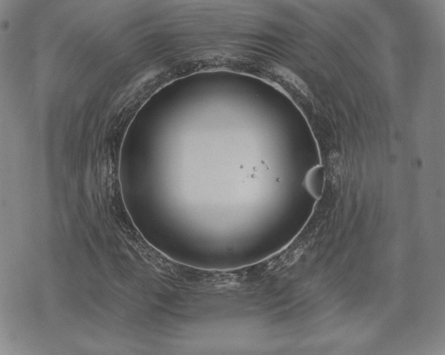 X0000073451111200608041020