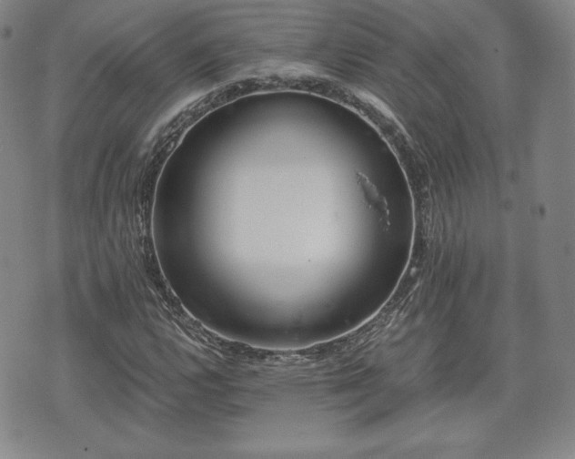 X0000073451112200608041021