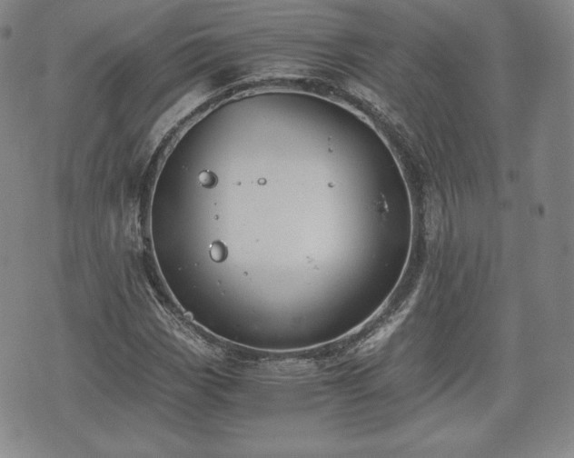 X0000073451113200608041021