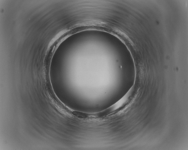 X0000073451114200608041021