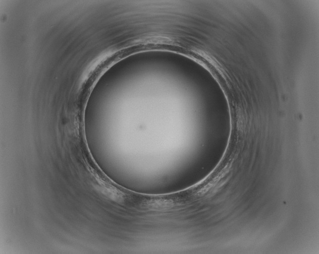 X0000073451115200608041021