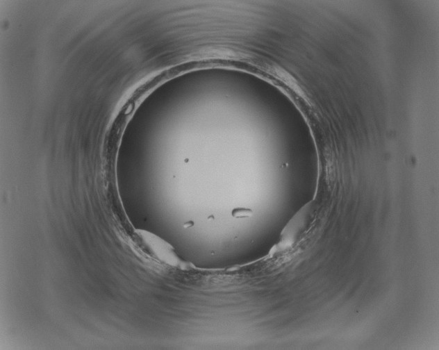 X0000073451116200608041021