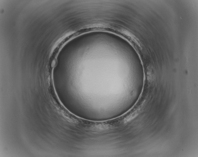 X0000073451117200608041021