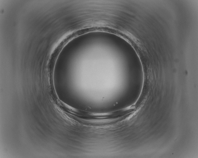 X0000073451118200608041021