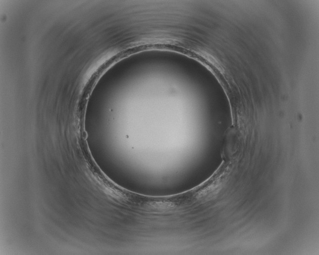 X0000073451119200608041021