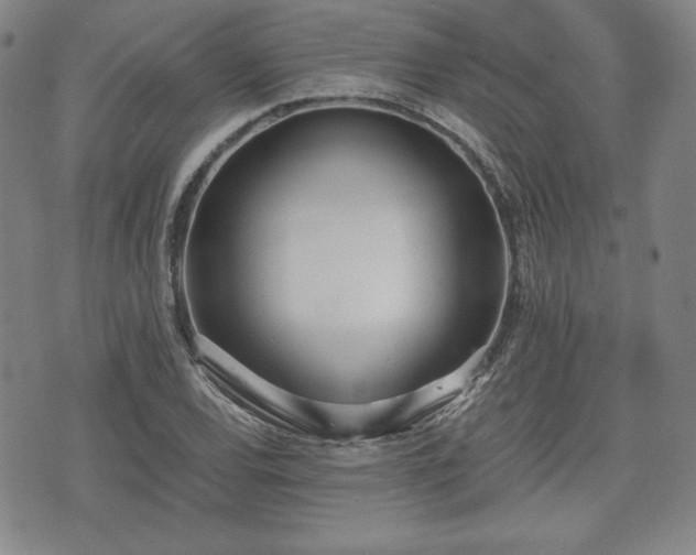 X0000073451120200608041021