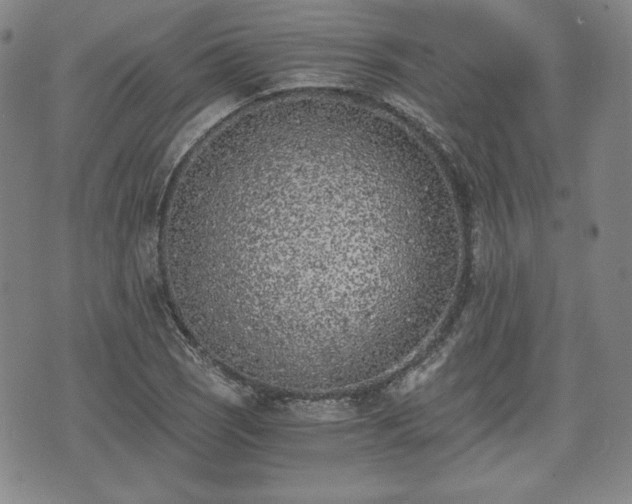 X0000073451121200608041021