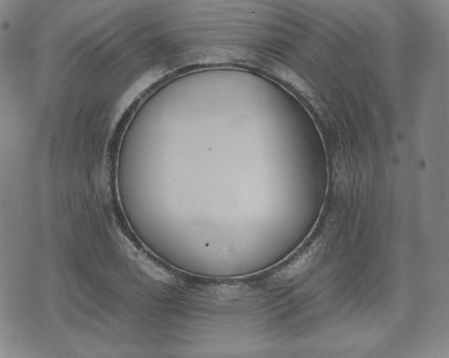 X0000073451122200608041021