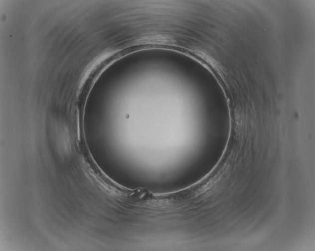 X0000073451123200608041021