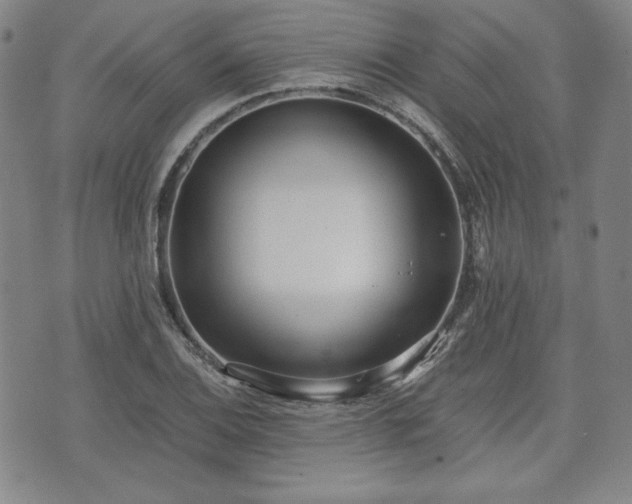 X0000073451124200608041021