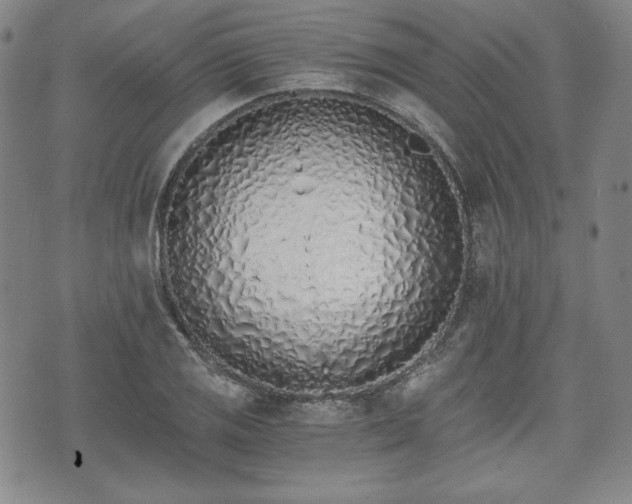 X0000073451125200608041021