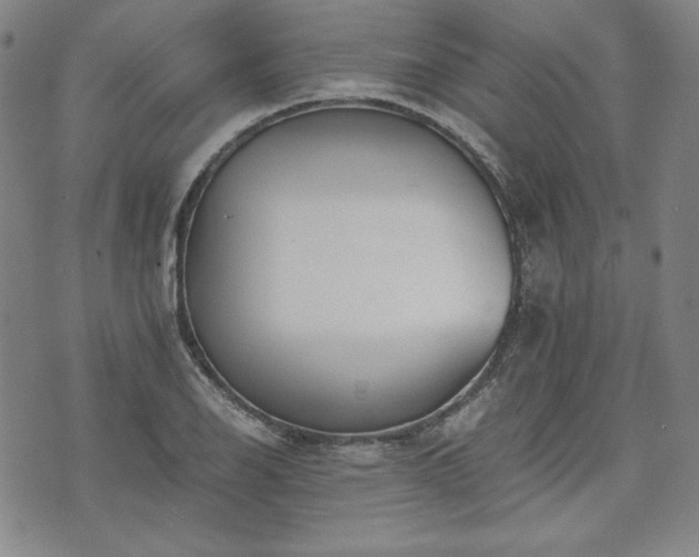 X0000073451126200608041021