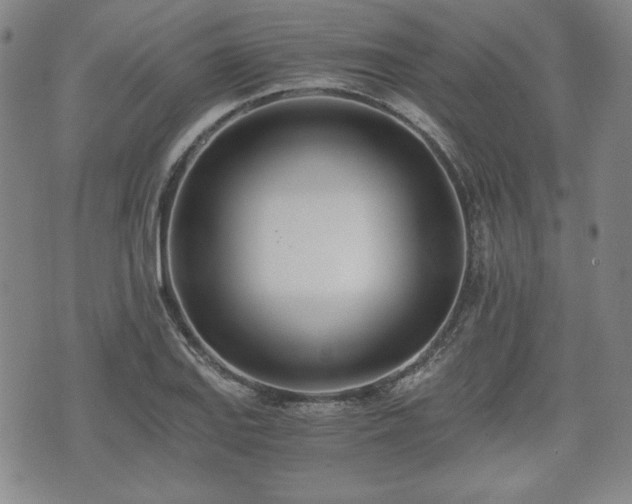 X0000073451127200608041021