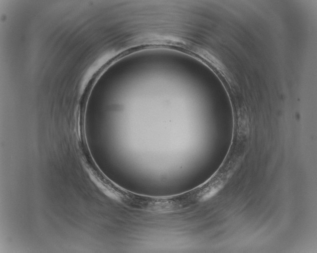 X0000073451128200608041021