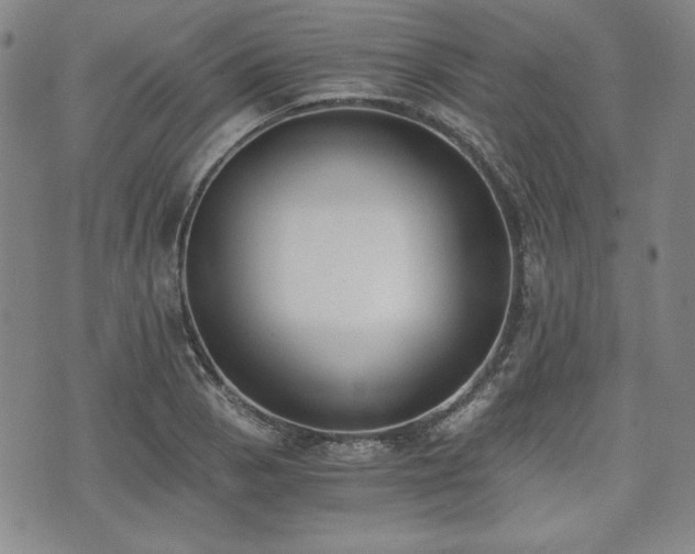 X0000073451129200608041021