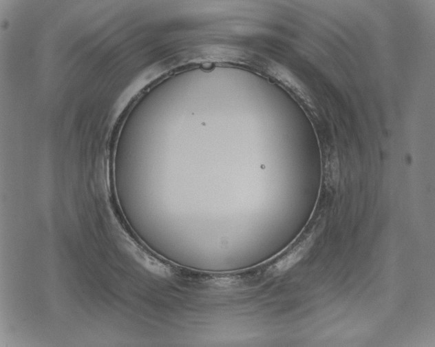 X0000073451130200608041021