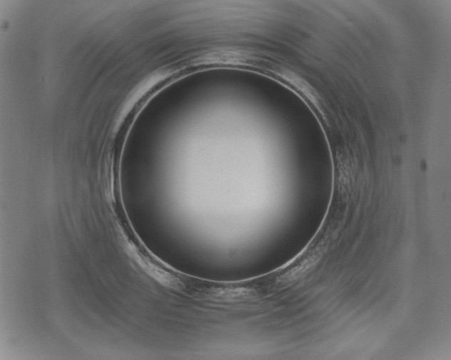 X0000073451131200608041021