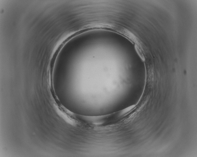 X0000073451132200608041021