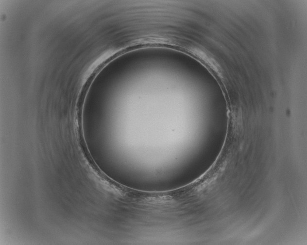 X0000073451133200608041021