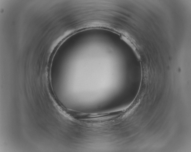 X0000073451134200608041021