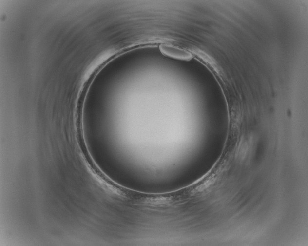 X0000073451135200608041021