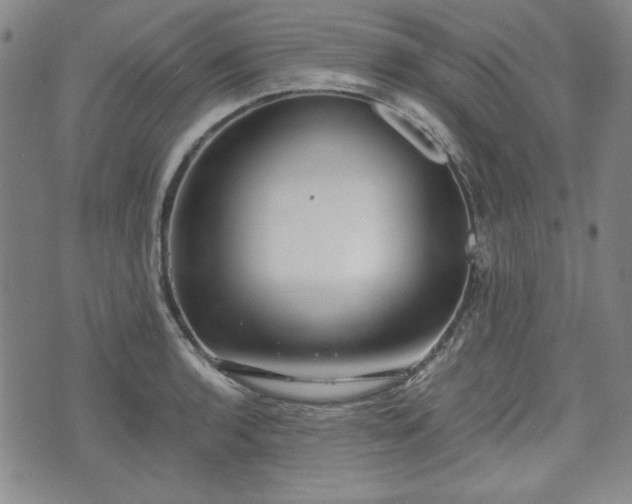 X0000073451136200608041021