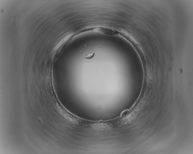 X0000073451137200608041021