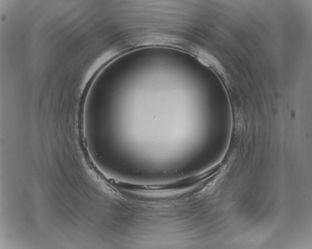 X0000073451138200608041021