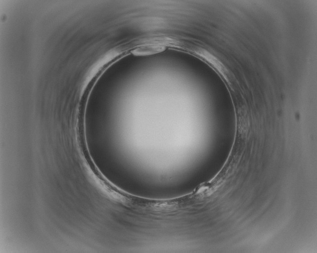 X0000073451139200608041021