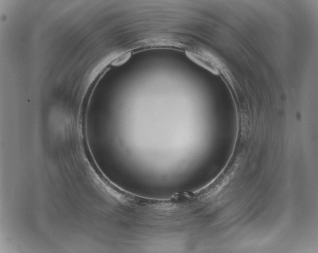 X0000073451141200608041021