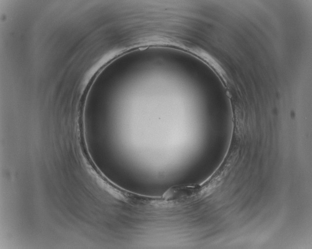 X0000073451142200608041021