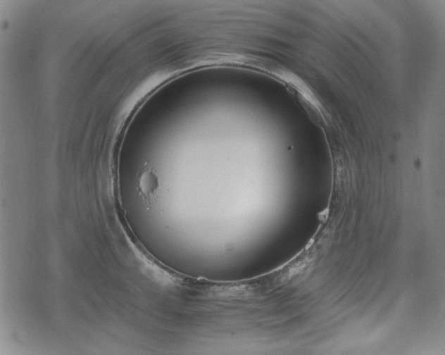 X0000073451143200608041021