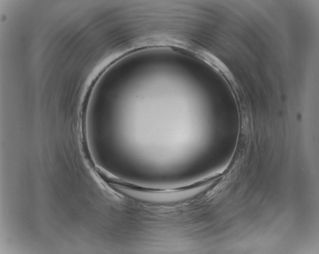 X0000073451144200608041021