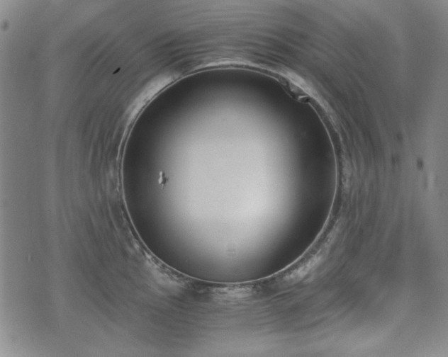 X0000073451145200608041021