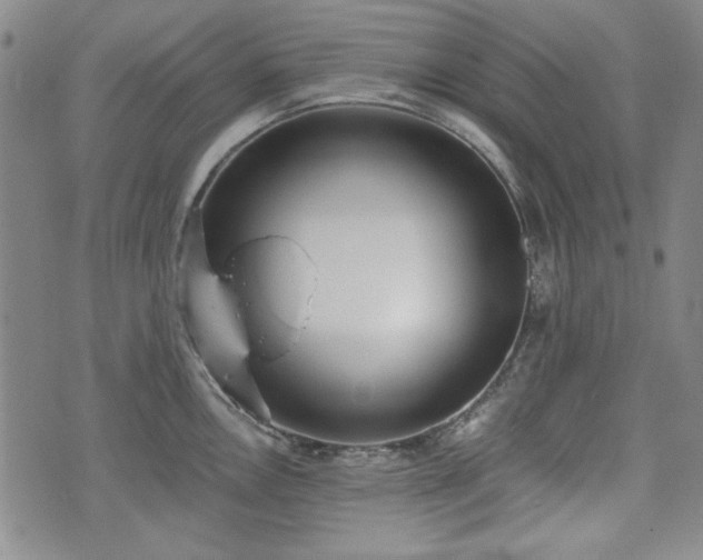 X0000073451146200608041021