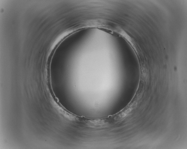 X0000073451147200608041021