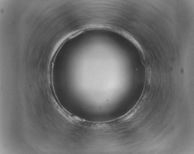 X0000073451148200608041021