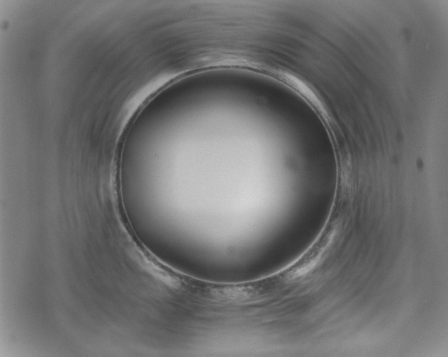 X0000073451149200608041021