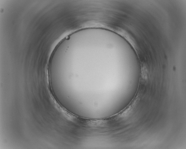 X0000073451150200608041021