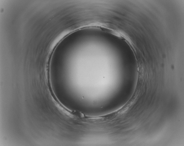 X0000073451151200608041021