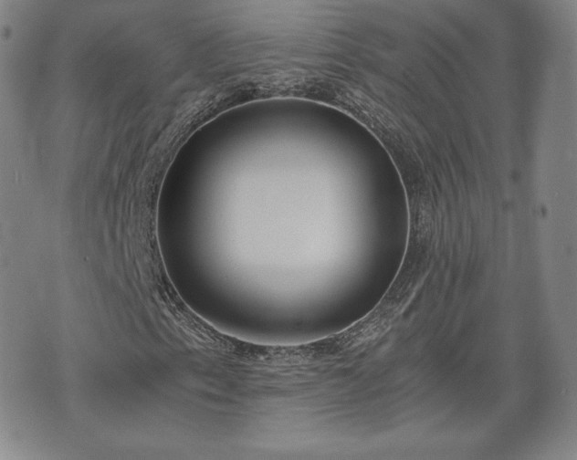 X0000073451153200608041020