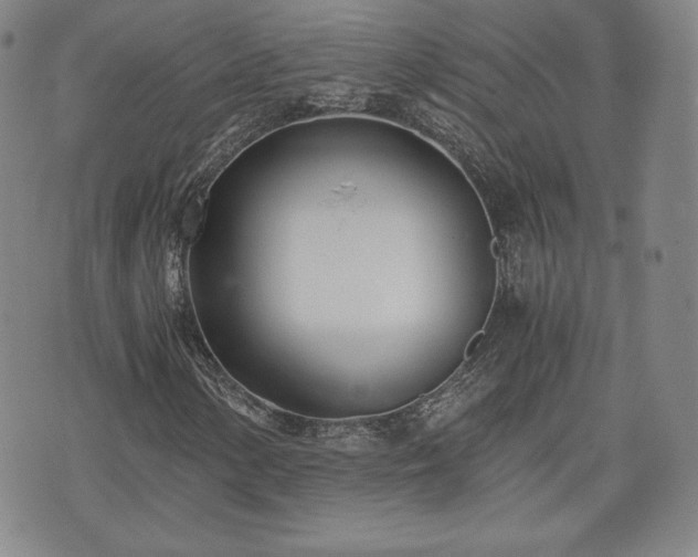 X0000073451154200608041020