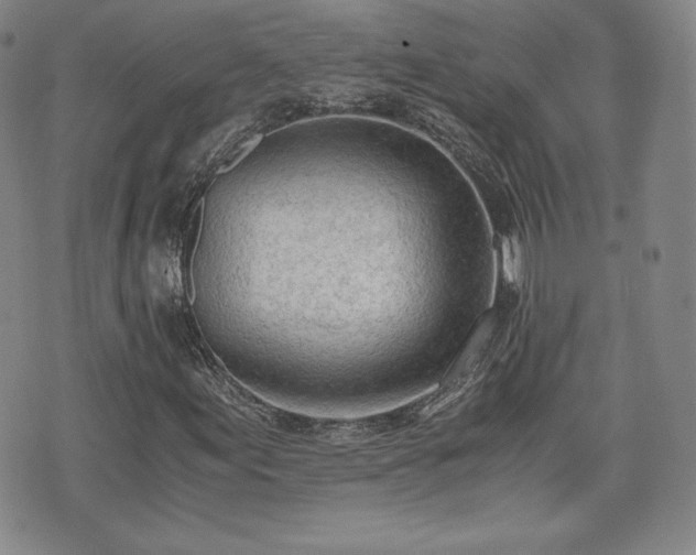 X0000073451155200608041020