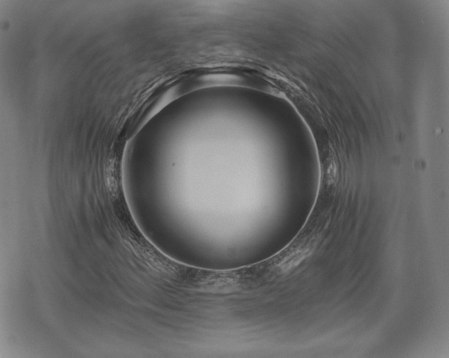 X0000073451156200608041020