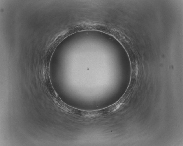 X0000073451157200608041020