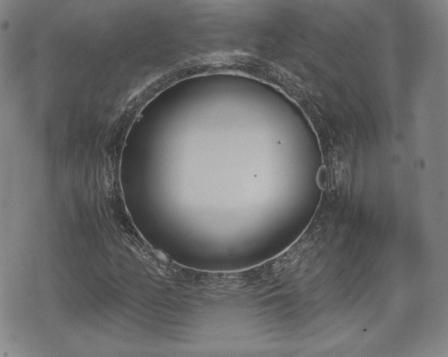 X0000073451158200608041020