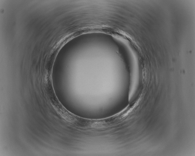 X0000073451161200608041020