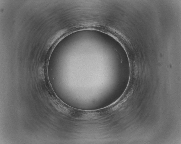 X0000073451162200608041020