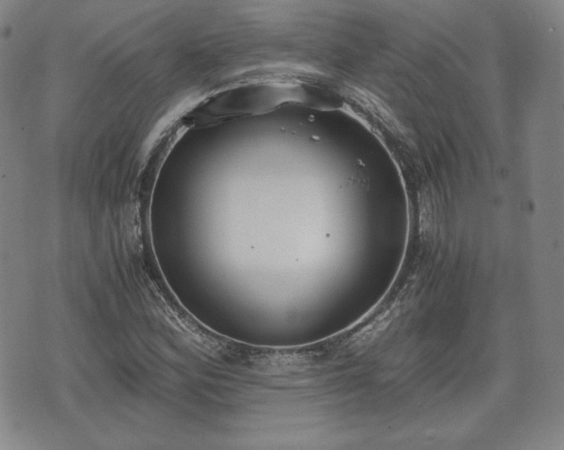 X0000073451164200608041020